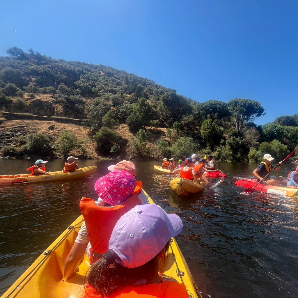 Kayaks y paddle surf Pasa la risa